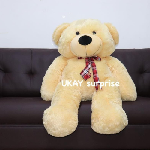 5Feet 6 Feet Glaint Teddy